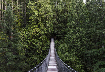 Fototapeta Dřevěný most v džungli 1431